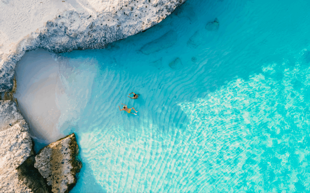 Un hiver sous les tropiques