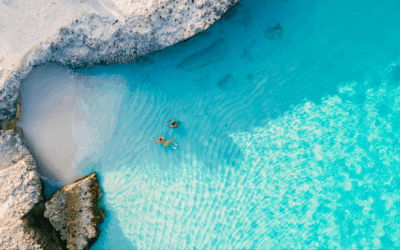 Un hiver sous les tropiques